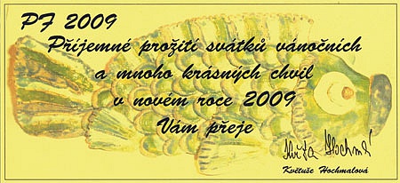PF 2009