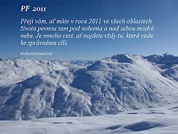 PF 2011
