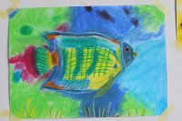 IMG_1213.JPG