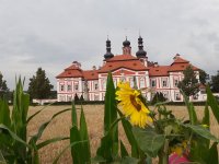 20200803_160534.jpg