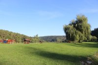 IMG_6353.JPG
