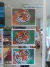 IMG_20170409_161211.jpg