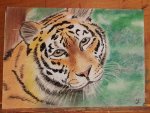IMG_20161023_165301.jpg