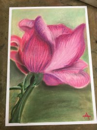 IMG_6183.JPG