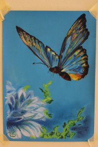 IMG_4862.JPG