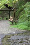 IMG_2585.JPG