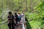 IMG_9824.JPG